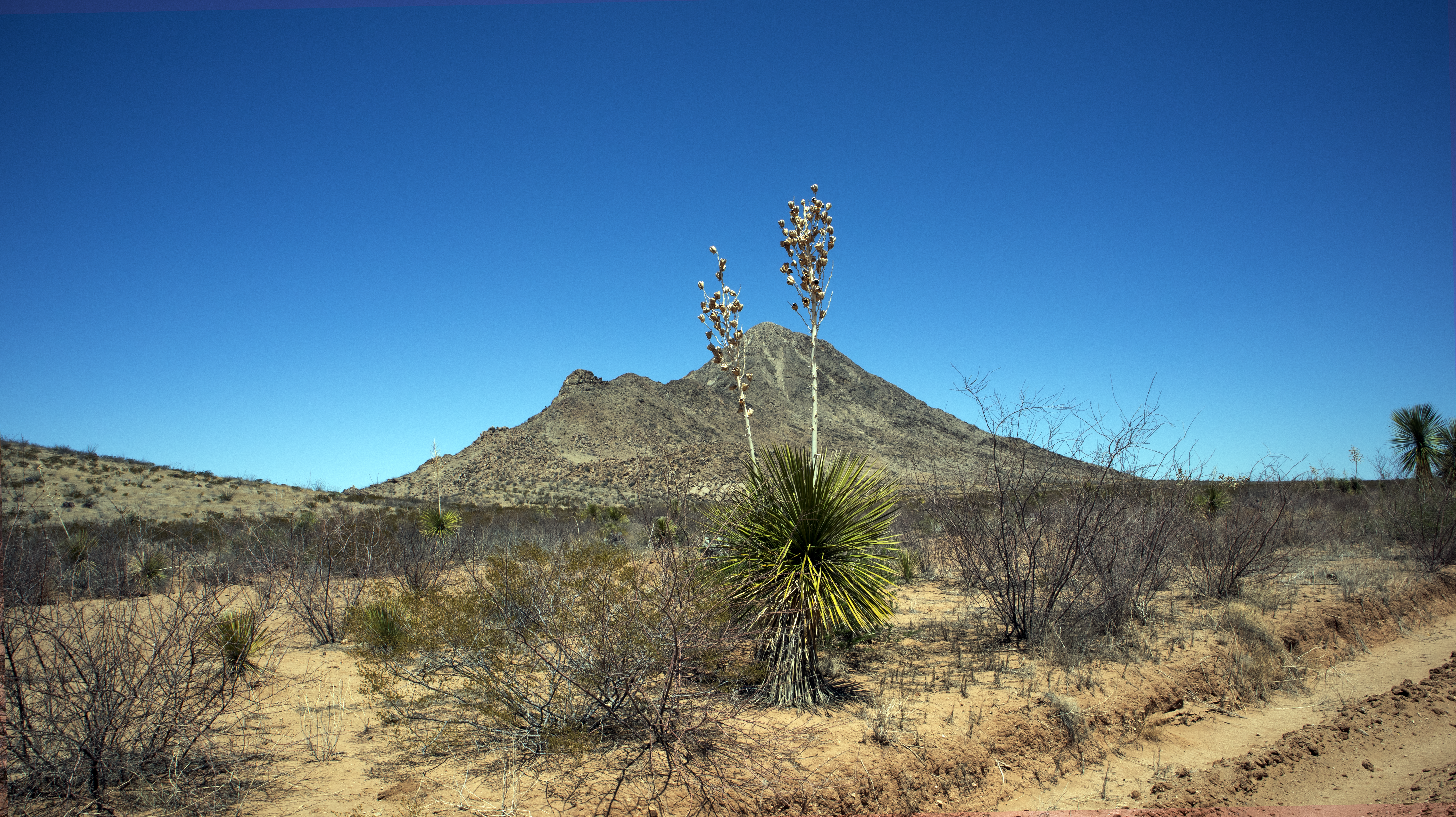 Oasis, Ojinaga, Chihuahua